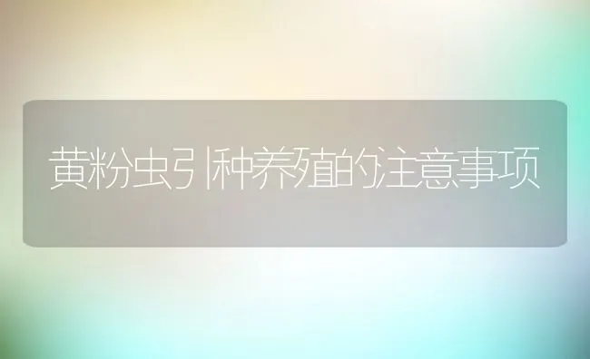 黄粉虫引种养殖的注意事项 | 水产养殖知识