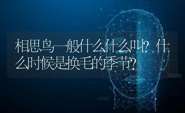 相思鸟一般什么什么叫?什么时候是换毛的季节？ | 动物养殖问答