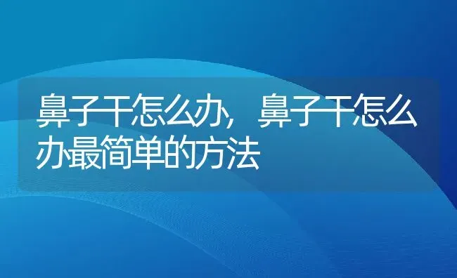 鼻子干怎么办,鼻子干怎么办最简单的方法 | 宠物百科知识