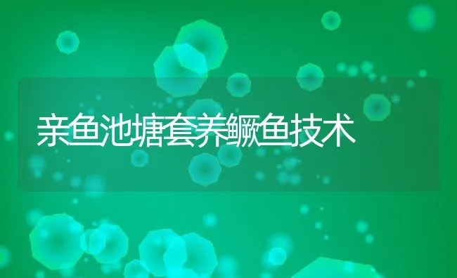 泥鳅鱼的养殖技术 | 动物养殖饲料