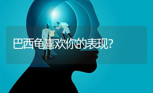 巴西龟喜欢你的表现？ | 动物养殖问答