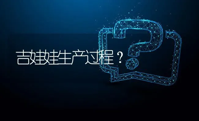 吉娃娃生产过程？ | 动物养殖问答