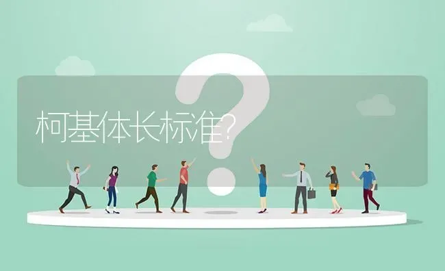 柯基体长标准？ | 动物养殖问答