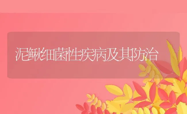 泥鳅细菌性疾病及其防治 | 水产养殖知识