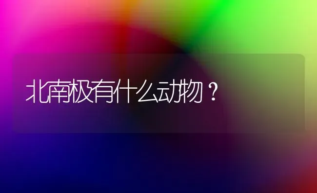 北南极有什么动物？ | 动物养殖问答