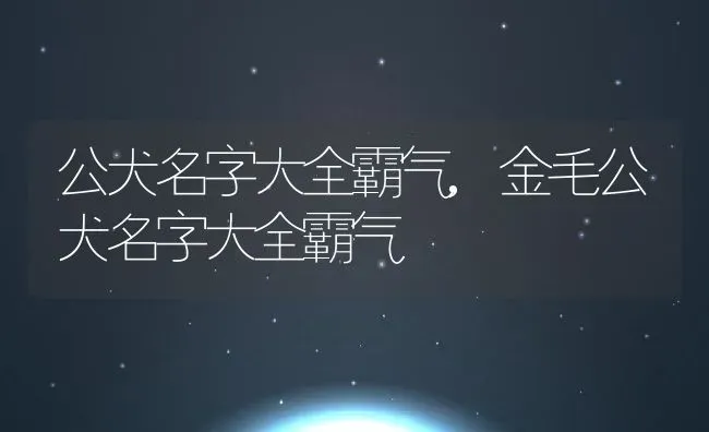 公犬名字大全霸气,金毛公犬名字大全霸气 | 宠物百科知识