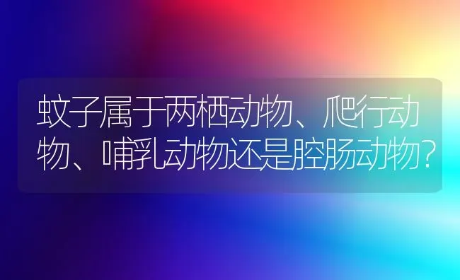 蚊子属于两栖动物、爬行动物、哺乳动物还是腔肠动物？ | 动物养殖问答