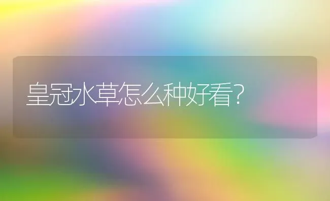 皇冠水草怎么种好看？ | 动物养殖问答