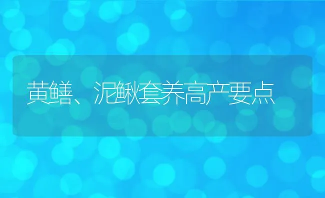 黄鳝、泥鳅套养高产要点 | 动物养殖学堂