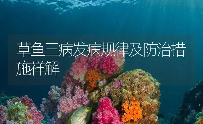 草鱼三病发病规律及防治措施祥解 | 海水养殖技术