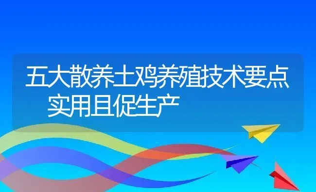 五大散养土鸡养殖技术要点 实用且促生产 | 动物养殖百科