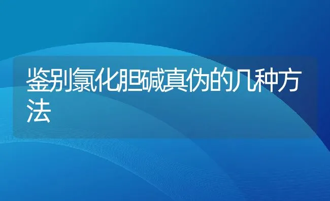 蛋鸡饲料不要过量添加维生素 | 动物养殖学堂