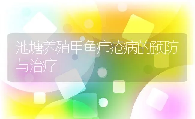 池塘养殖甲鱼疖疮病的预防与治疗 | 水产养殖知识