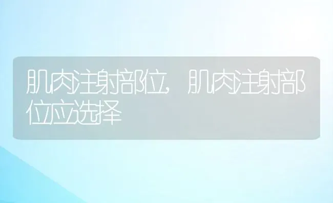 肌肉注射部位,肌肉注射部位应选择 | 宠物百科知识