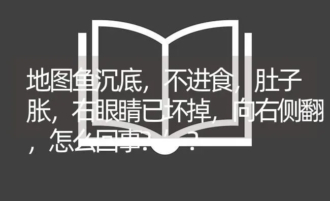 地图鱼沉底，不进食，肚子胀，右眼睛已坏掉，向右侧翻，怎么回事?’？ | 鱼类宠物饲养