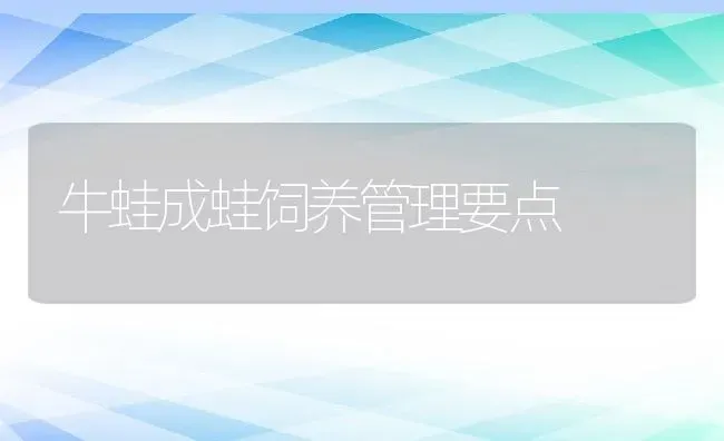 牛蛙成蛙饲养管理要点 | 动物养殖百科