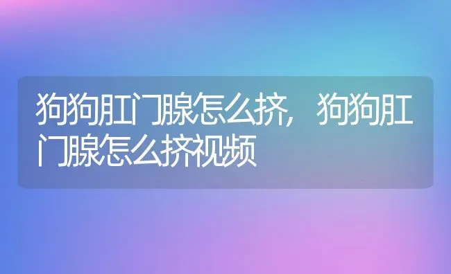 狗狗肛门腺怎么挤,狗狗肛门腺怎么挤视频 | 宠物百科知识