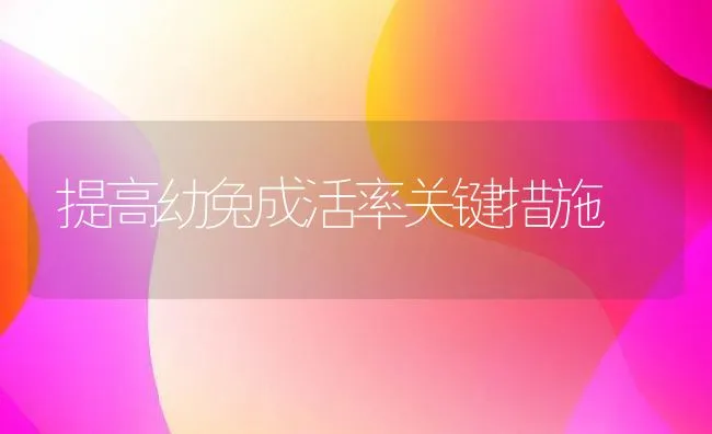 提高幼兔成活率关键措施 | 动物养殖学堂