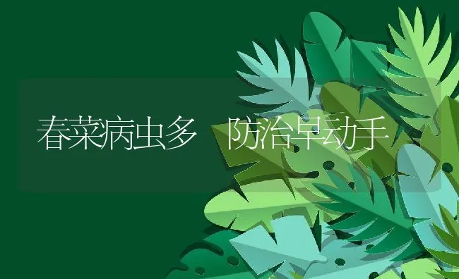 春菜病虫多 防治早动手 | 水产养殖知识