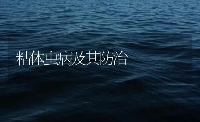 粘体虫病及其防治 | 海水养殖技术