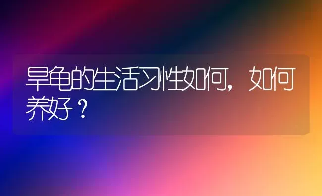 旱龟的生活习性如何，如何养好？ | 动物养殖问答