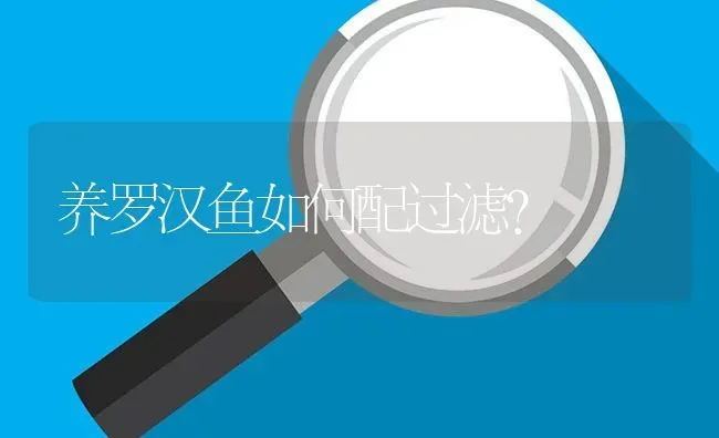 养罗汉鱼如何配过滤？ | 鱼类宠物饲养