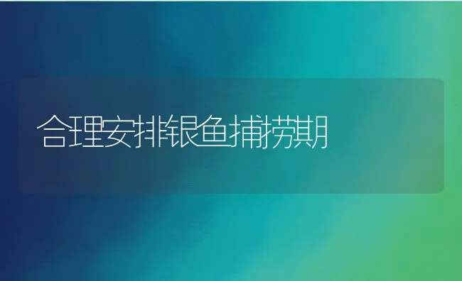 合理安排银鱼捕捞期 | 动物养殖饲料