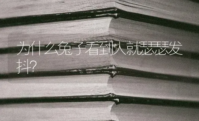 为什么兔子看到人就瑟瑟发抖？ | 动物养殖问答