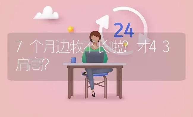 7个月边牧不长啦?才43肩高？ | 动物养殖问答