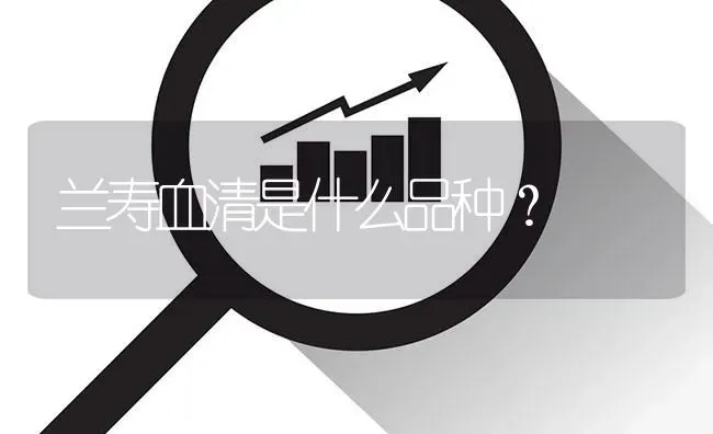 兰寿血清是什么品种？ | 鱼类宠物饲养