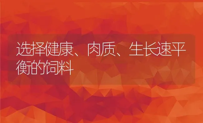 选择健康、肉质、生长速平衡的饲料 | 动物养殖饲料