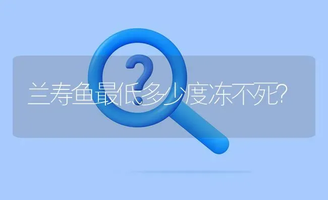 兰寿鱼最低多少度冻不死？ | 鱼类宠物饲养