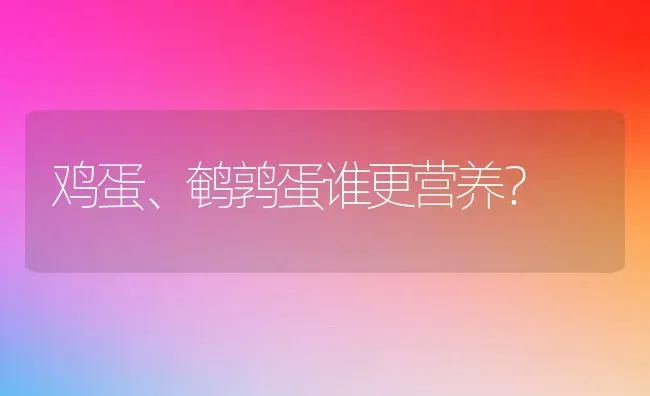 鸡蛋、鹌鹑蛋谁更营养？ | 动物养殖教程