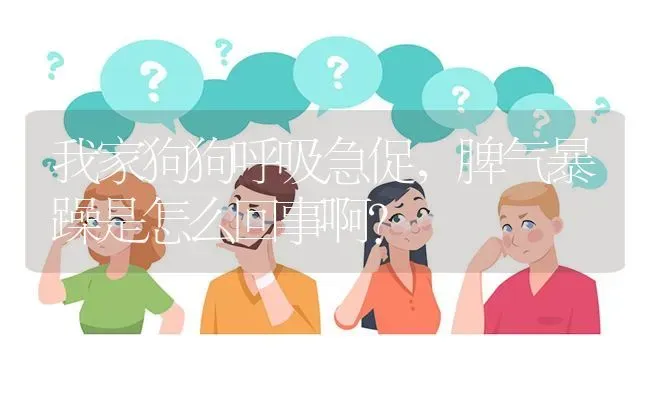 我家狗狗呼吸急促，脾气暴躁是怎么回事啊？ | 动物养殖问答