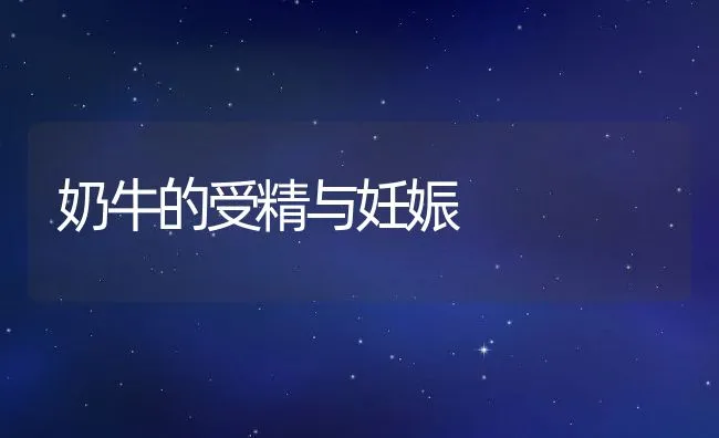 奶牛的受精与妊娠 | 动物养殖学堂