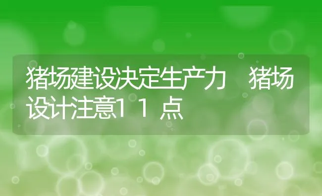 夏天养猪如何防治猪中暑？ | 动物养殖学堂