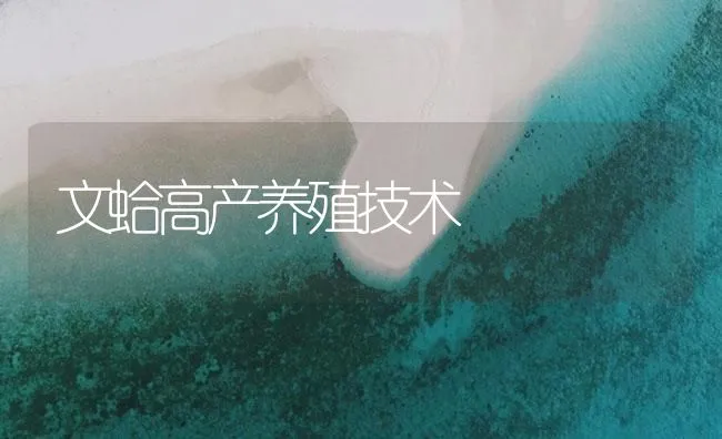 罗非鱼链球菌的病因与治疗方法 | 海水养殖技术