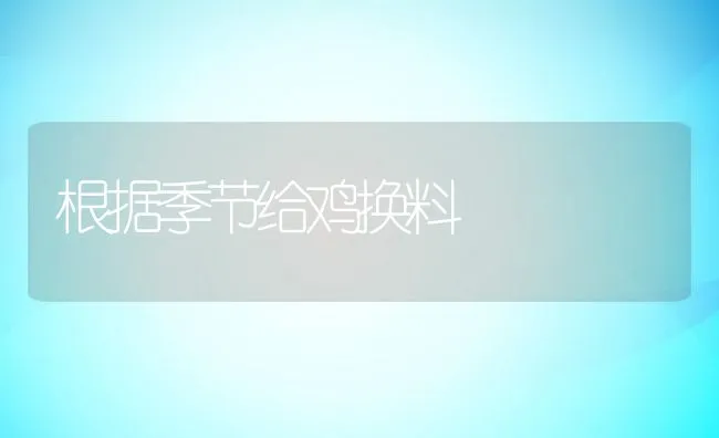 根据季节给鸡换料 | 动物养殖学堂