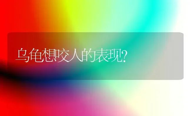 魔王松鼠一天要喂食几次？每次喂多少合适？ | 动物养殖问答