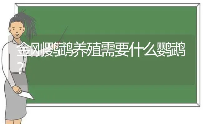 金刚鹦鹉养殖需要什么鹦鹉？ | 动物养殖问答