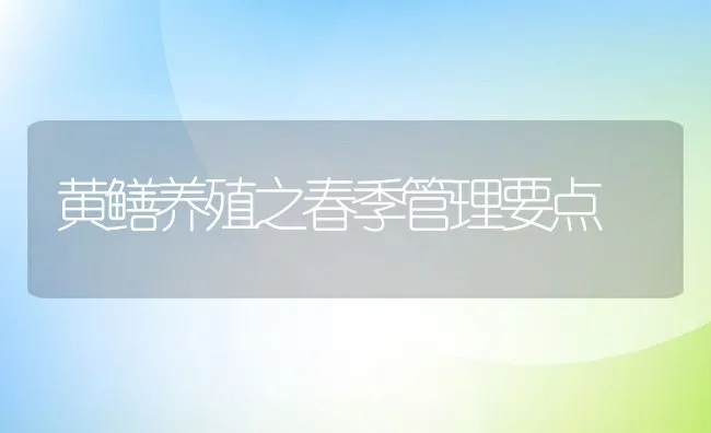 黄鳝养殖之春季管理要点 | 动物养殖学堂