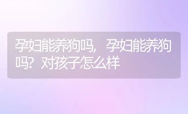 孕妇能养狗吗,孕妇能养狗吗?对孩子怎么样 | 宠物百科知识