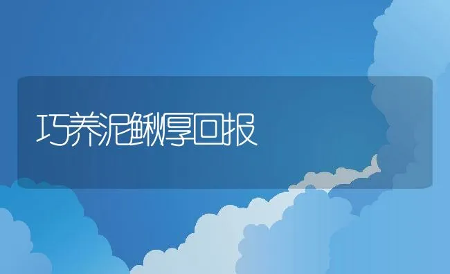 巧养泥鳅厚回报 | 动物养殖学堂