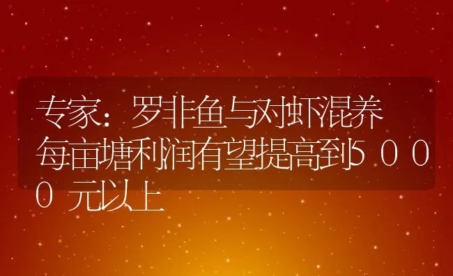 专家：罗非鱼与对虾混养 每亩塘利润有望提高到5000元以上 | 动物养殖饲料