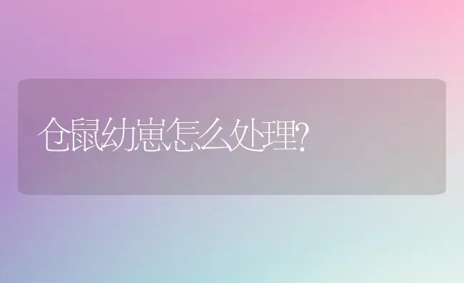 沙皮狗像什么？ | 动物养殖问答