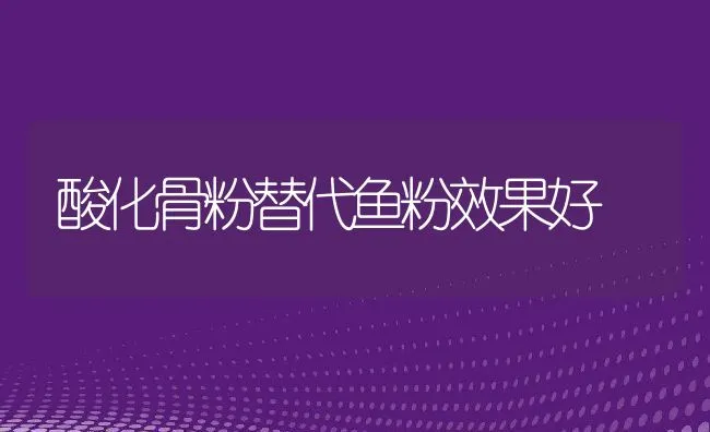 酸化骨粉替代鱼粉效果好 | 动物养殖学堂