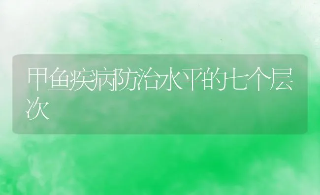 甲鱼疾病防治水平的七个层次 | 水产养殖知识