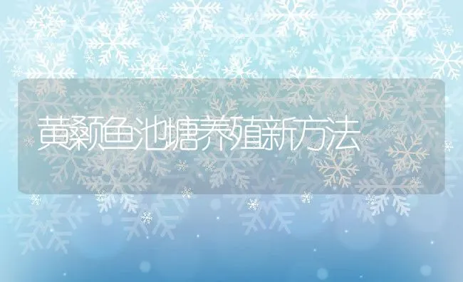 黄颡鱼池塘养殖新方法 | 动物养殖饲料