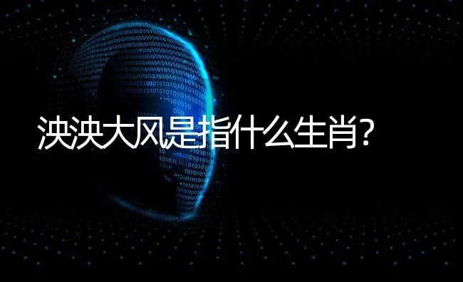 泱泱大风是指什么生肖？ | 动物养殖问答