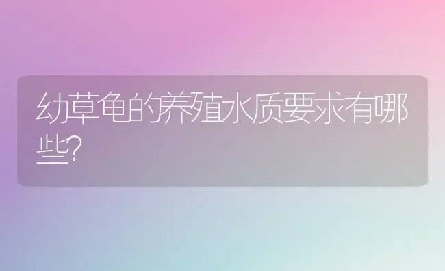 不同品种之间的鹦鹉能相互杂交吗？ | 动物养殖问答